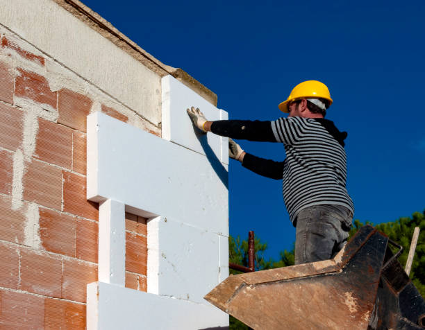 Best Cellulose Insulation in Laurens, IA