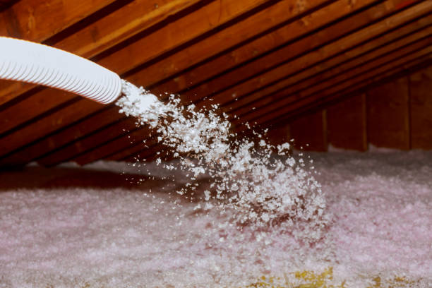 Best Fiberglass Insulation in Laurens, IA