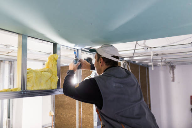 Best Spray Foam Insulation in Laurens, IA