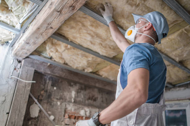 Best Spray Foam Insulation in Laurens, IA