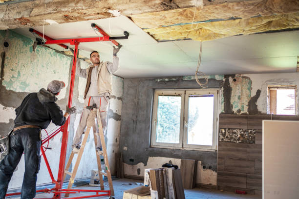Best Geographic-Specific Insulation Services in Laurens, IA